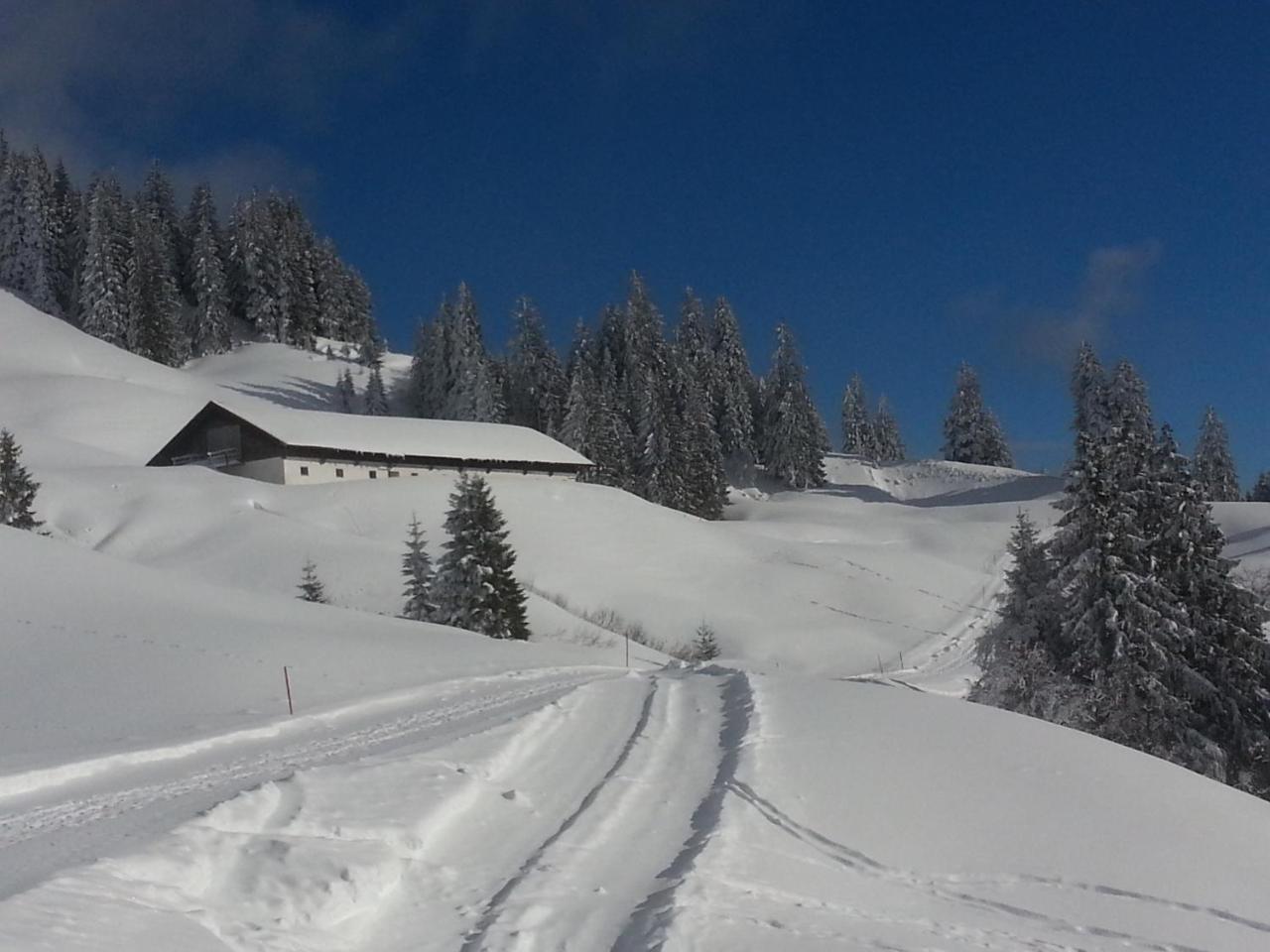 Landhaus Berktold Obermaiselstein Exterior foto